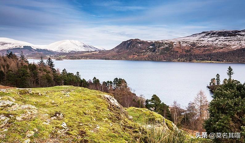 给你的猫买个爵位？这里有一份简易攻略请查收