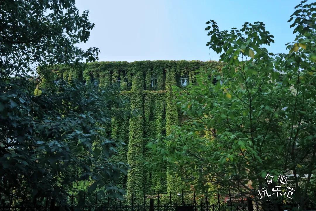 观银河,看银河听风吟的视频