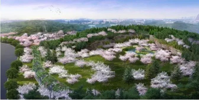 2021徐州园林博览会,徐州园博会规划图