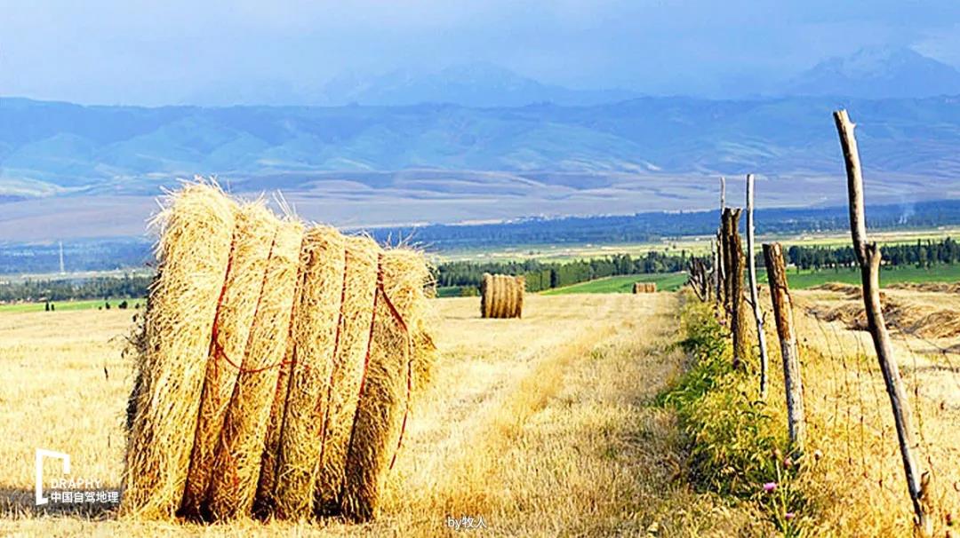 独库公路通车攻略,独库公路官宣