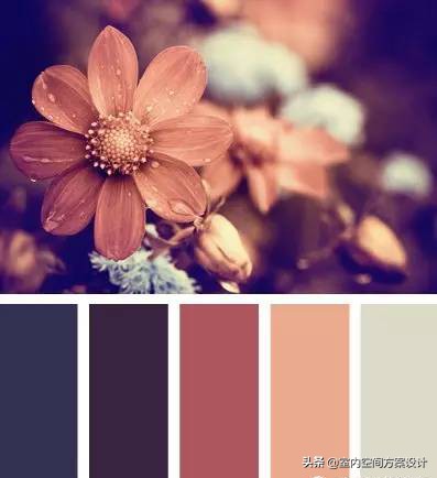 设计师必须要知道的色彩名称,色彩设计的基本技巧