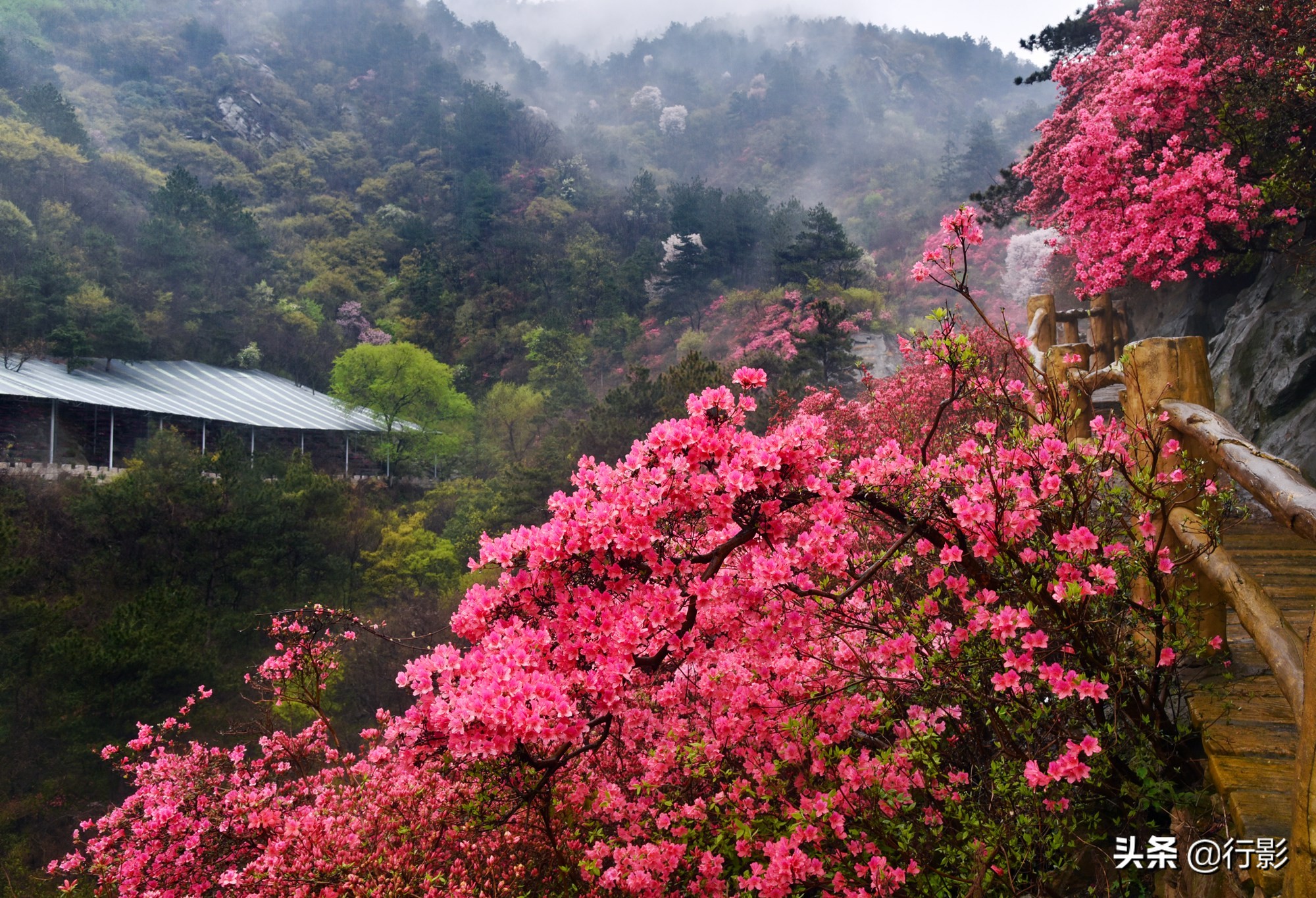 武汉云雾山风景区有什么好玩的,武汉云雾山游玩攻略