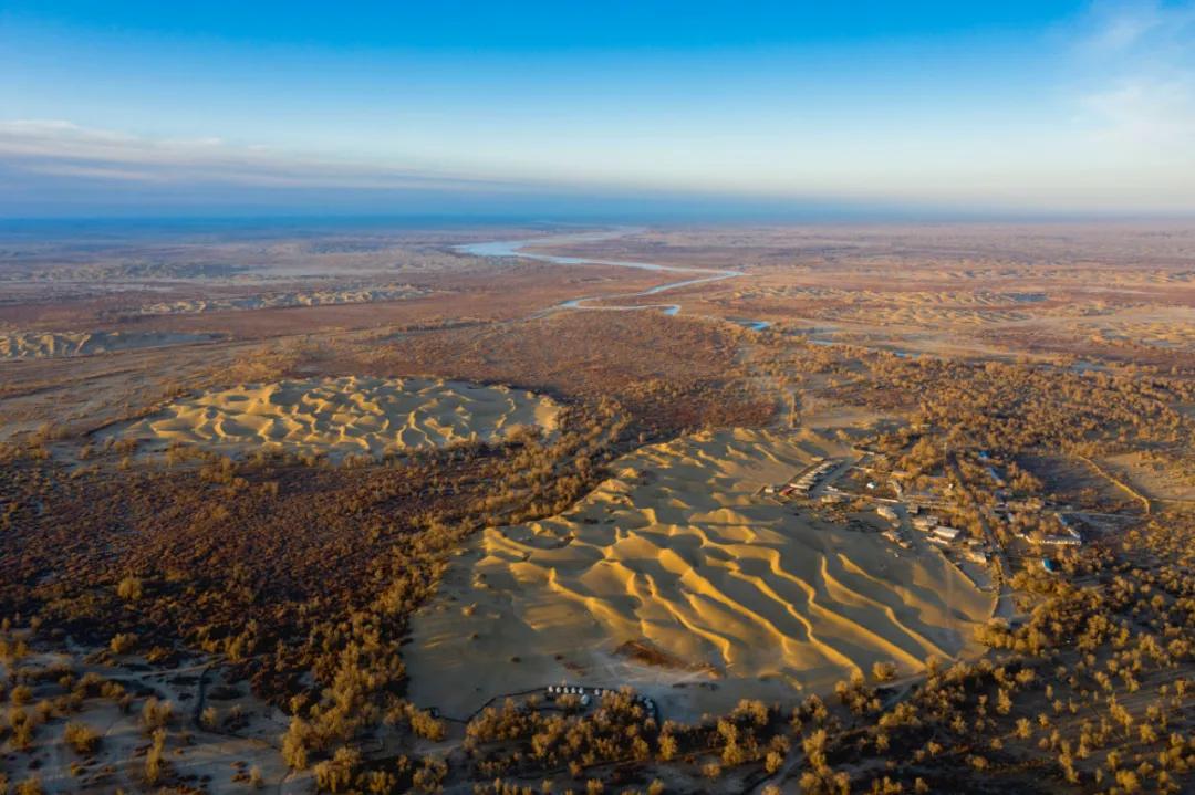 新疆塔里木大沙漠风景,除了沙漠树森林树还有什么