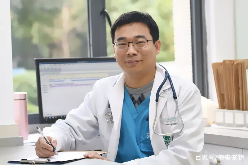 安安宠医澄湖路诊所,安安宠医桂园路分院