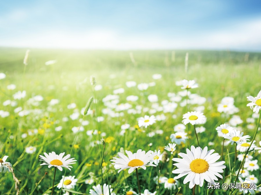 吃药晒太阳影响药效吗,肺结核服药期间能晒太阳吗