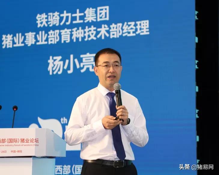 猪业发展趋势图,猪行业发展视频