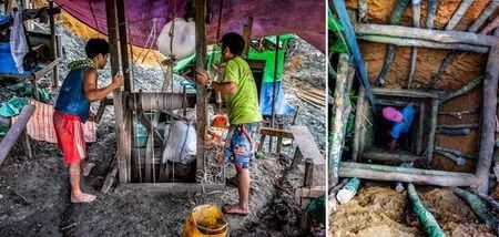 科学家找到的残缺的恐龙化石,灭绝物种缅甸琥珀