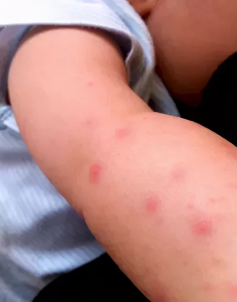 天然染色剂衣服,天然蓝染系列介绍