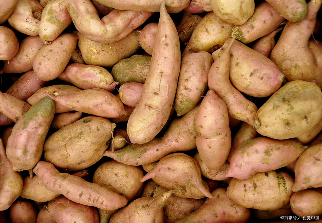 常吃鸡肉对身体好不好,常吃鸡肉有危害吗