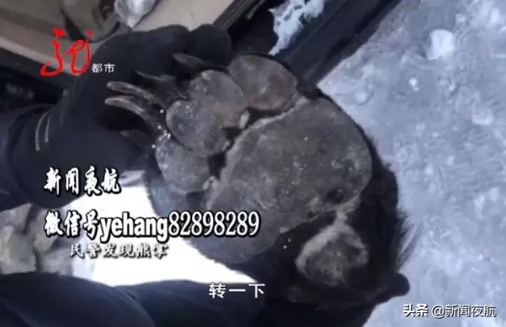 大山深处土特产店,山货特产店铺都有啥