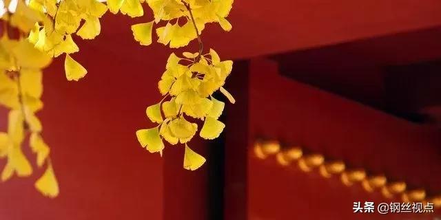 曾国藩挺经冰鉴,千古奇文原文