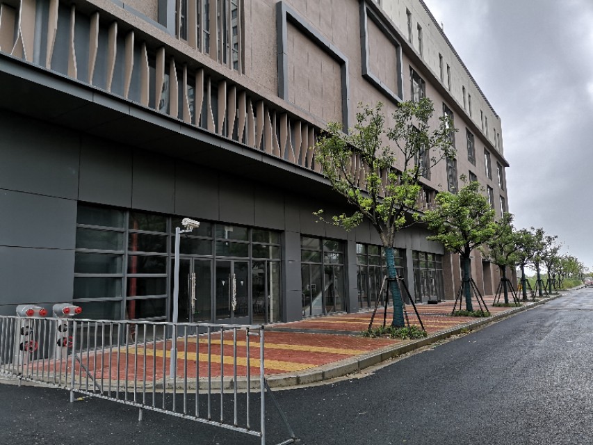 上海临港新片区万祥东来建设,临港新片区万祥