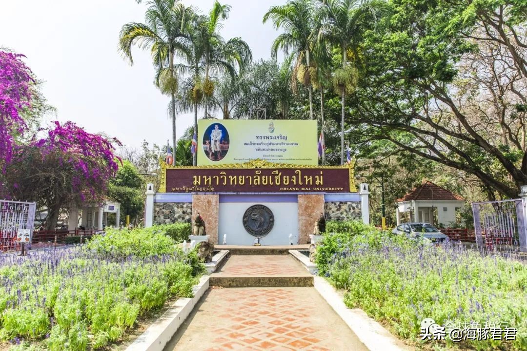 清迈旅游泰国购物攻略,泰国清迈玛雅购物攻略