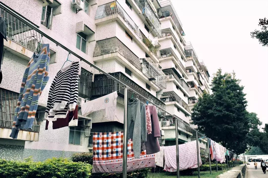 在福田区下梅林生活体验好吗,下梅林晚上适合去的地方