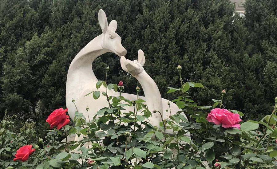 西安汇知中学怎么样,西安汇知中学会转公办吗