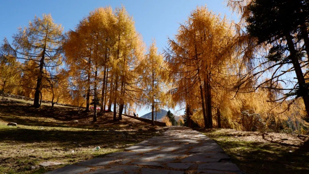 四川木格措旅游自驾游攻略2天,成都自驾到木格措旅游攻略