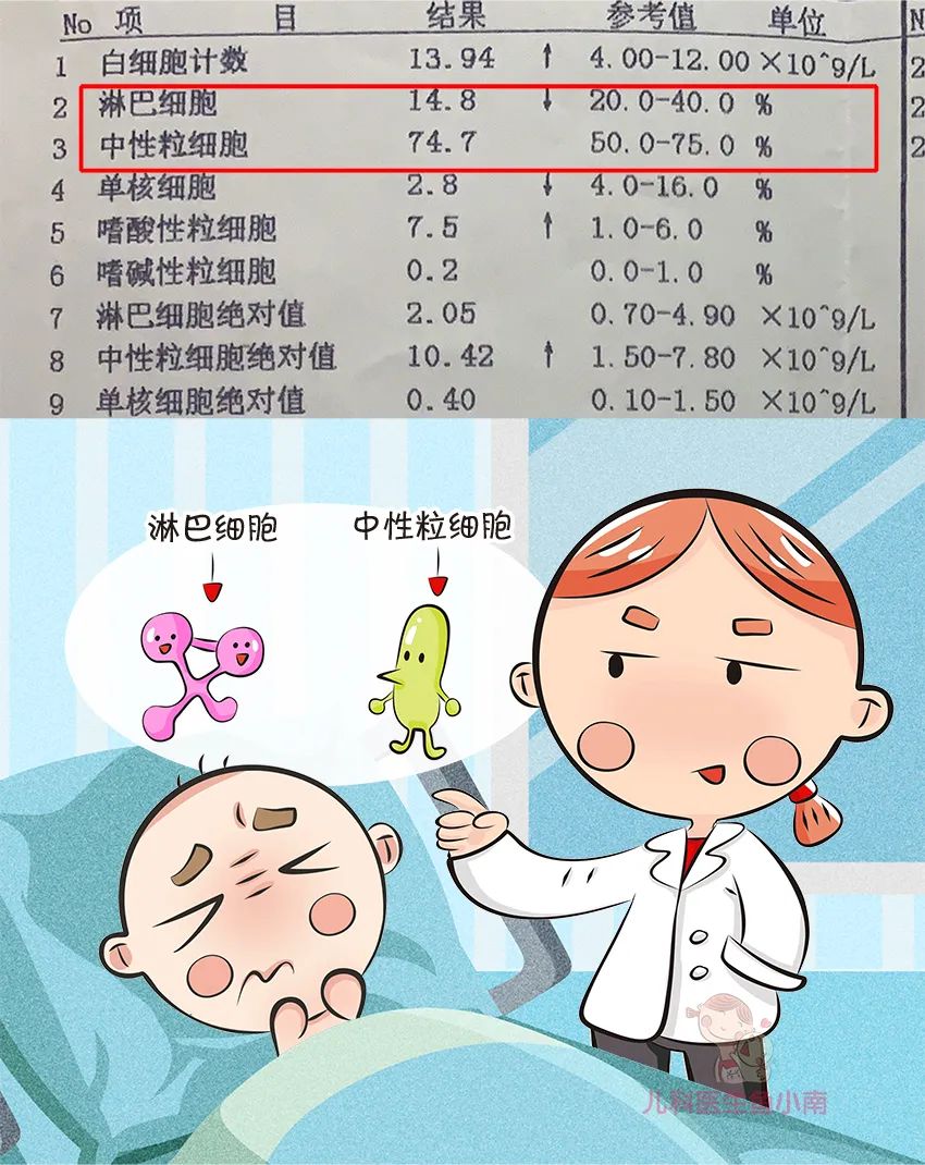 爸妈必学！3分钟教你看懂血常规，你也能成为半个儿科医生