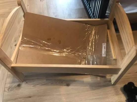 猫中最厉害的是橘猫吗,最胖的猫排名前十