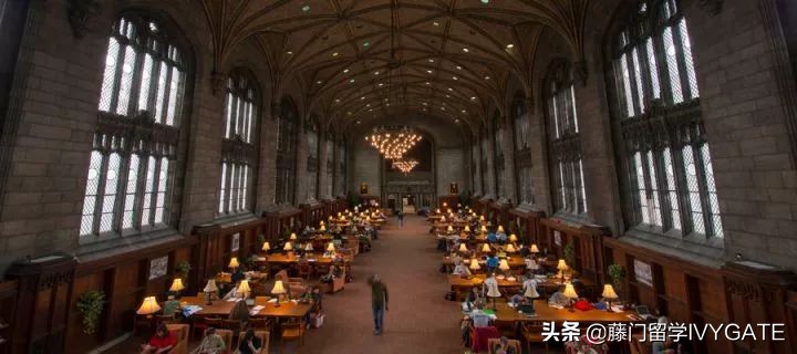 在芝加哥大学读博士是如何的体验,在芝加哥的大学