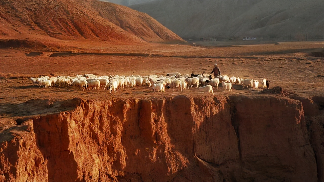 山海情德宝口音,山海情德福讲话