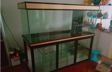 自制鱼缸外过滤系统,鱼缸隔离板自制教程