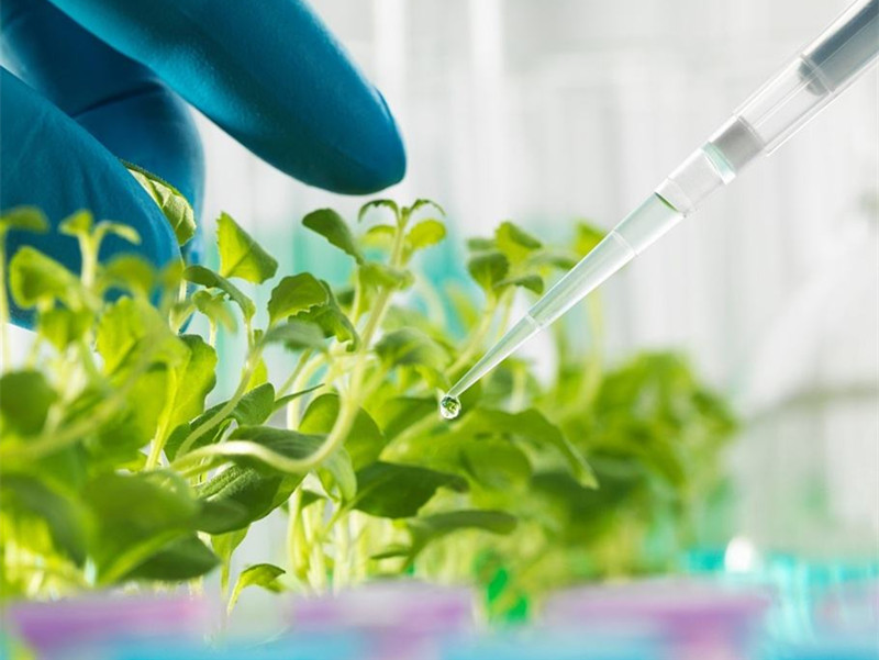 肤漾清透洁面慕斯好用吗,清痘净颜洁面慕斯怎么用