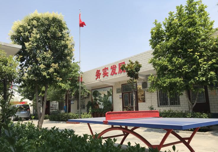 缇庝附涔℃剚缁垮寲缇庡寲,缇庝附涔℃剚涔℃潙缁垮寲瑙嗛