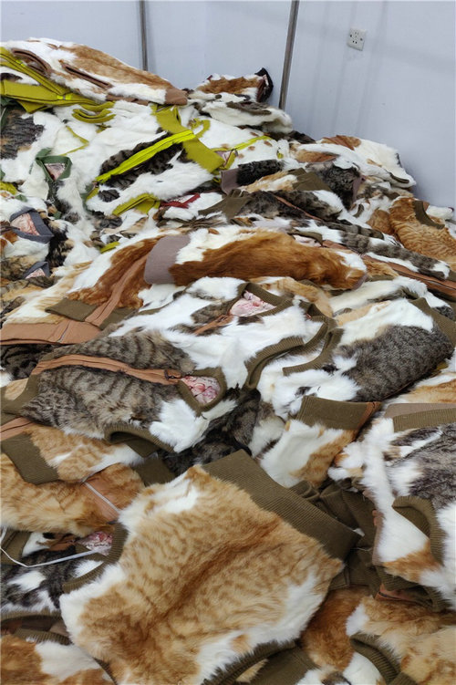 商家出售疑似猫皮马甲？专家：不符逻辑哗众取宠