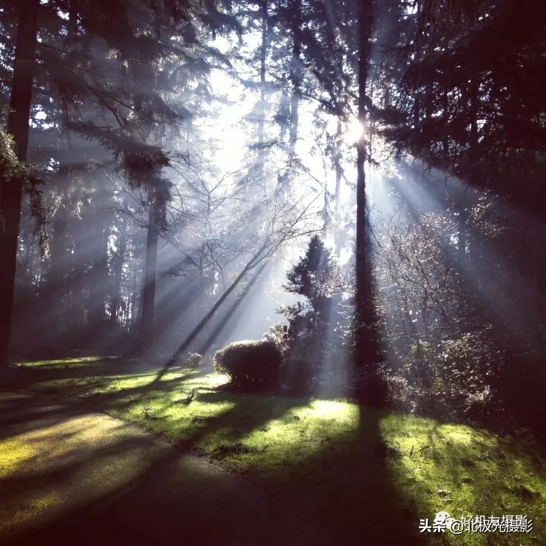 富士镜头怎么选择,富士中画幅镜头gf80和110怎么选