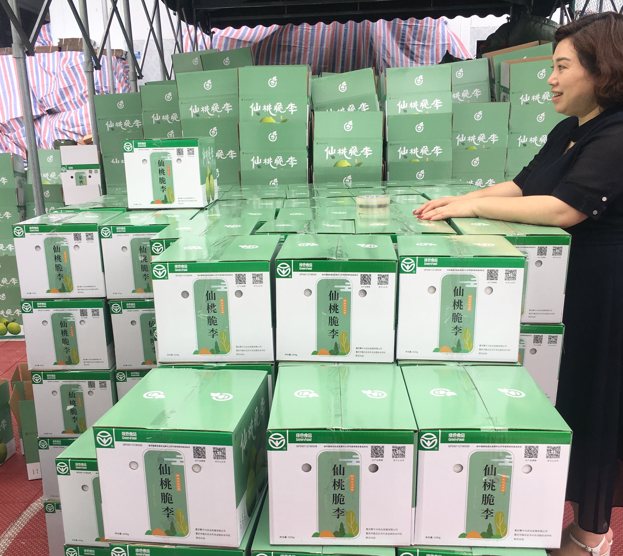 仙桃脆李变身致富果山橙时代助力谱写乡村振兴新乐章