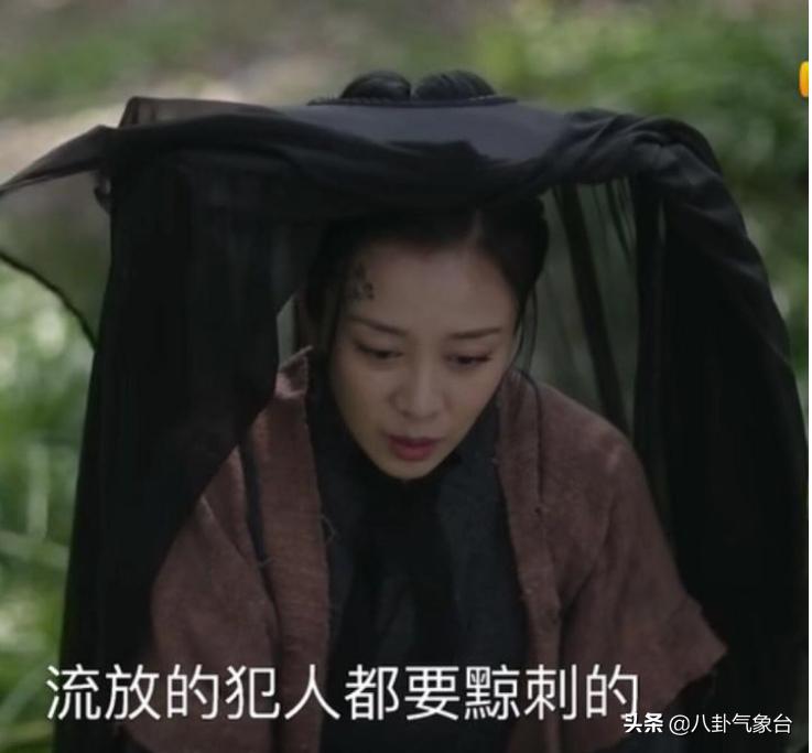 知否知否贺家,知否贺家表妹下场