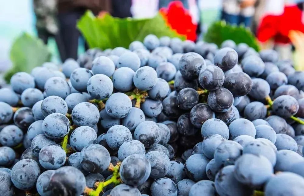 怀化新天地民宿推荐,怀化附近的民宿