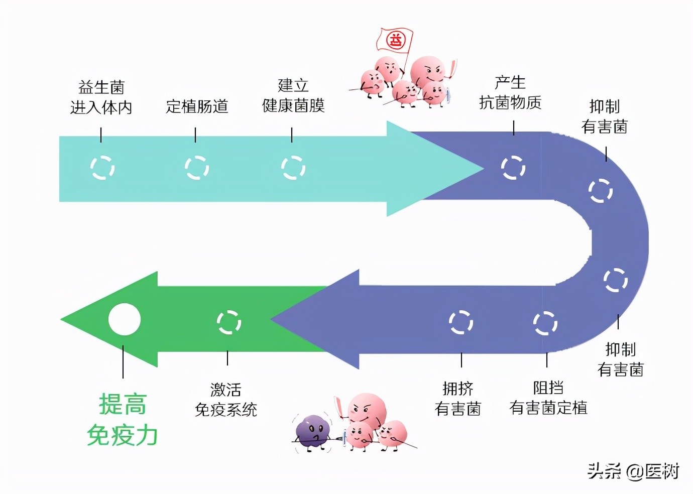 益生菌为什么比较贵,益生菌的好评越来越多