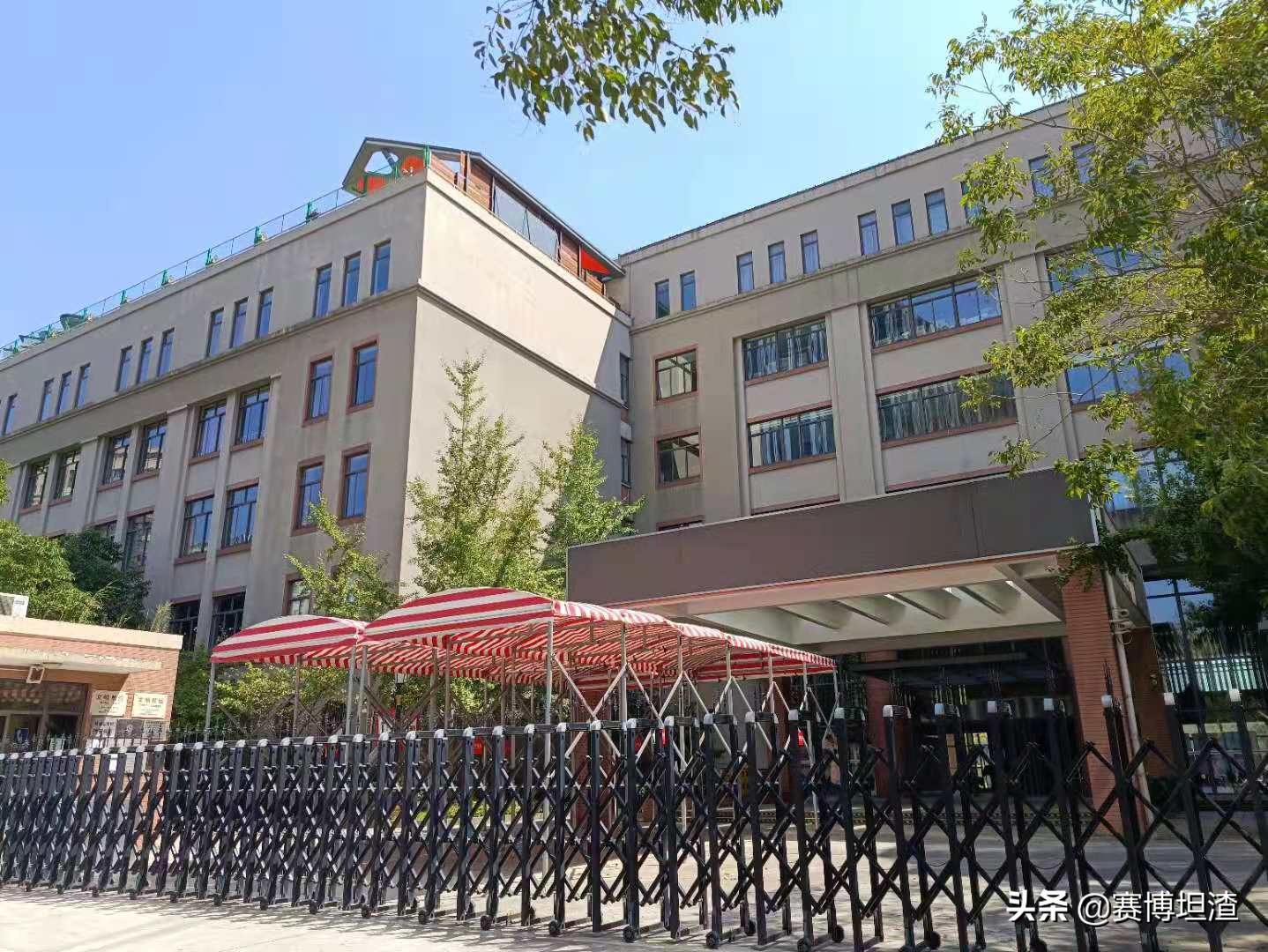 复旦大学苏步青,复旦大学苏步青教授