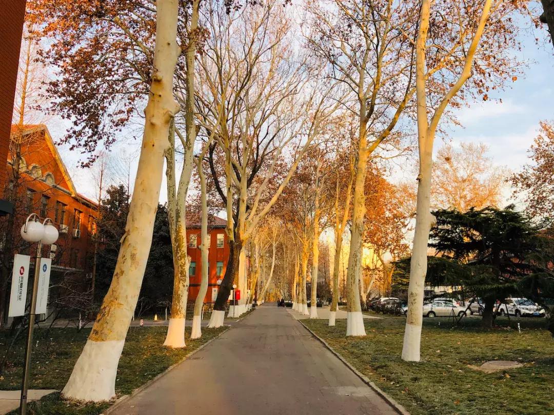 山东科技大学，不再见！