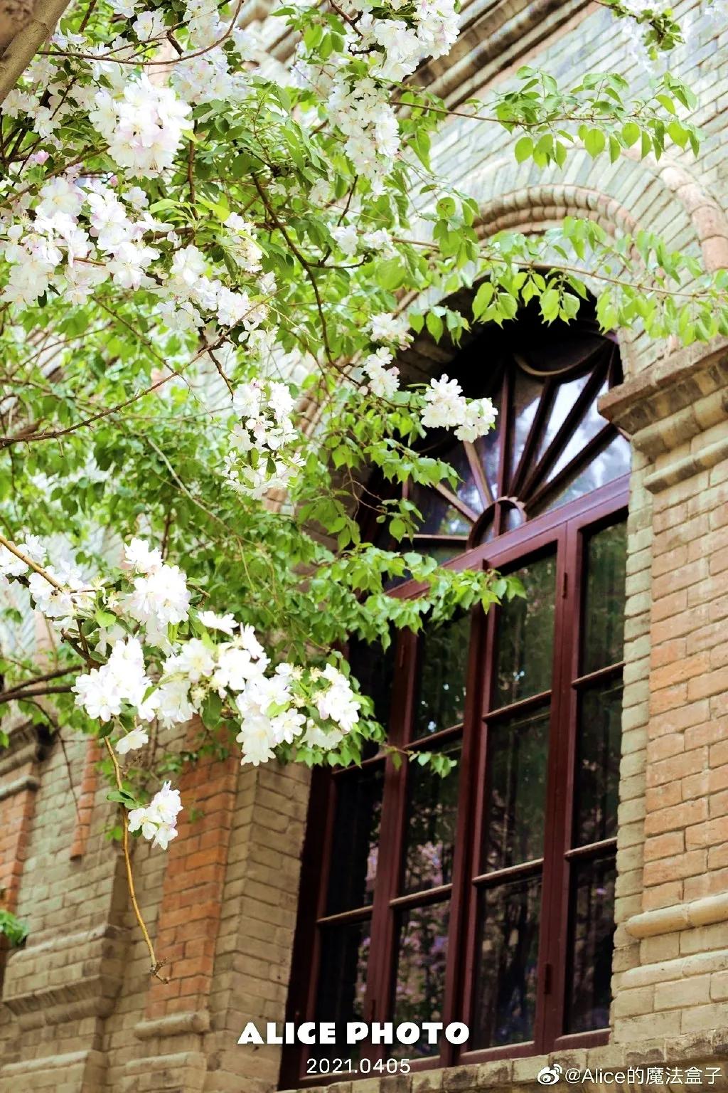 重庆南开中学在全国排名,南开中学很有名吗