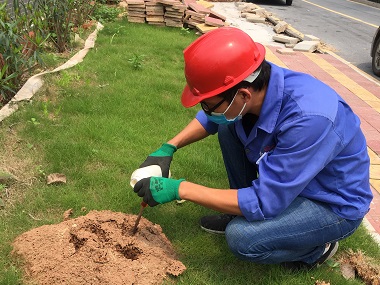 现在装修吊顶需要防白蚁吗,一楼装修怎么防白蚁