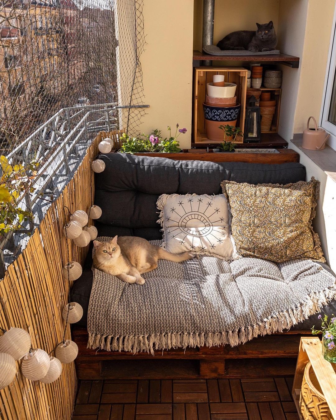 住森林里的体验,住在3200亩森林里是一种什么体验