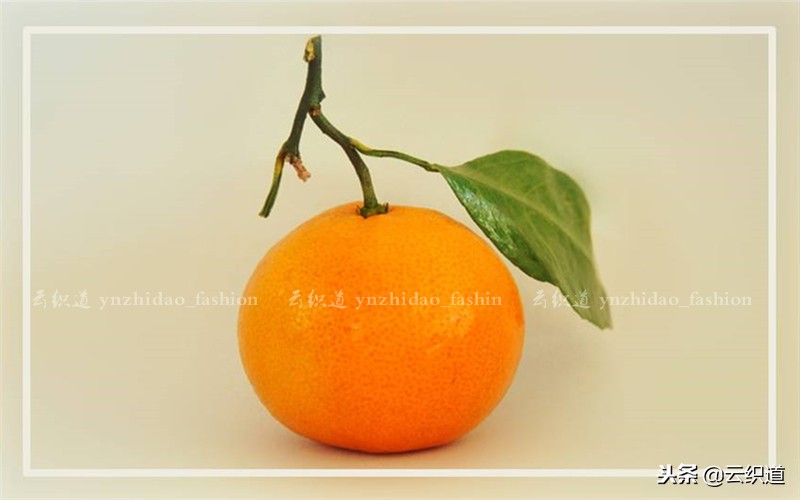 衣服裁剪制作女,服装立体裁剪稿子怎么做