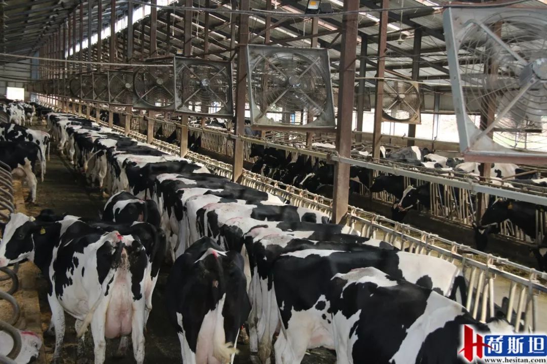 近4000人次收看——无乳链球菌的危害及清除计划的实施要点