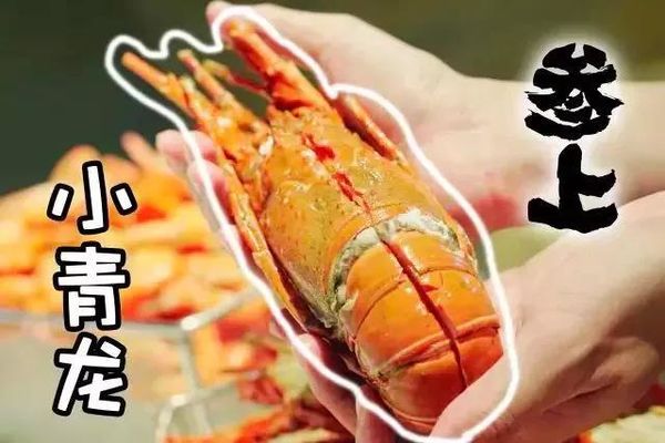 广州海鲜自助餐推荐攻略,广州100左右的海鲜自助餐