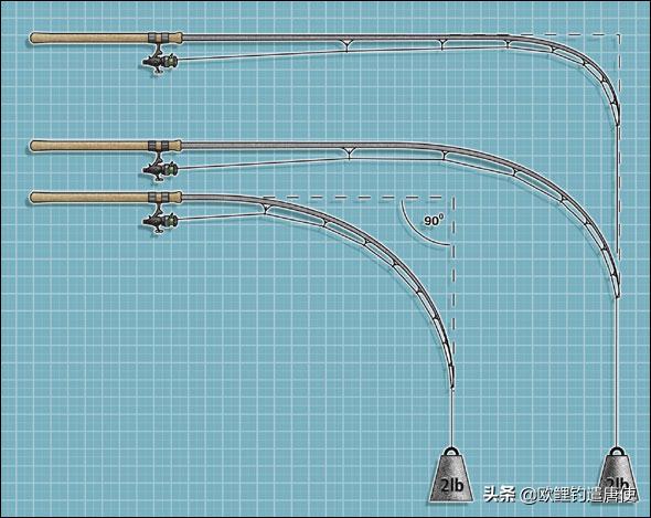 欧鲤钓竿买多长合适呢,欧鲤钓竿全套装备推荐