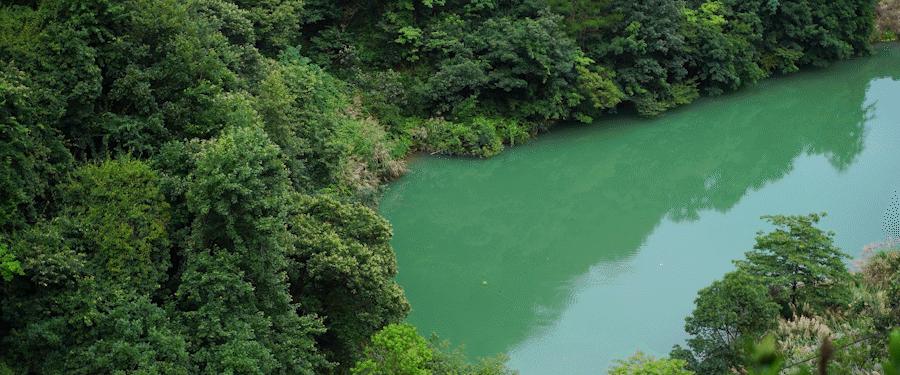 夏天好去处清凉避暑游金华,旅游风油精