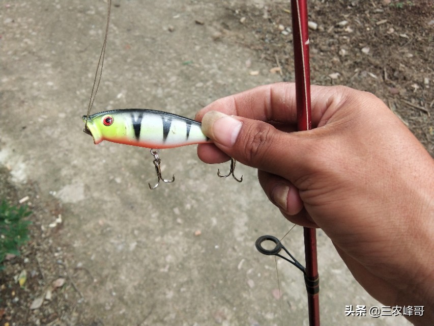 水库怎么用雷蛙打黑鱼,打黑鱼用什么雷蛙最佳