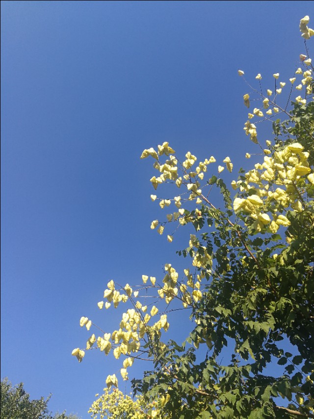 散文冬天的湖,冬天散文朗诵