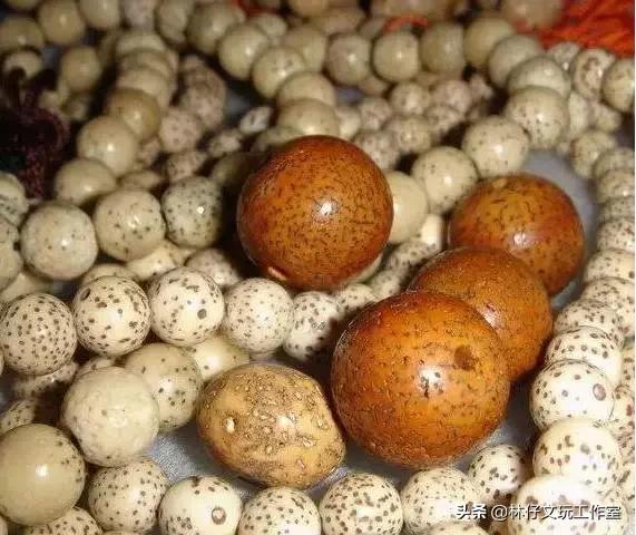 文玩菩提各种盘玩变化,文玩菩提的种类图解