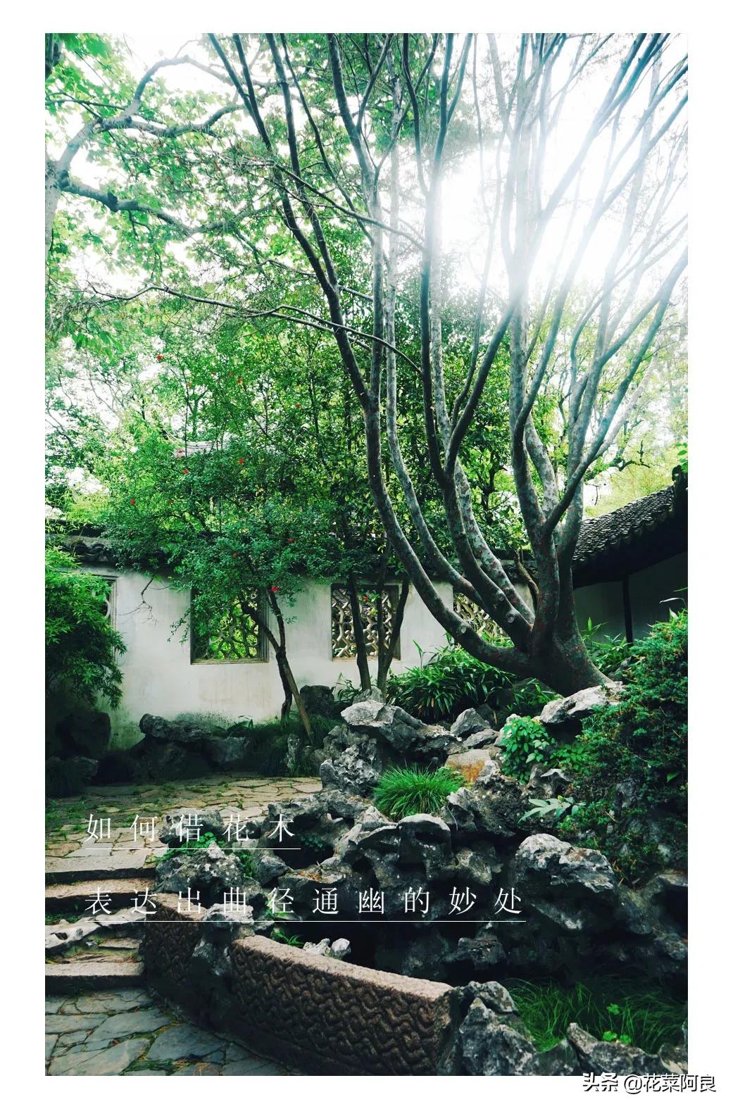 留园拙政园哪个景色好,留园和拙政园