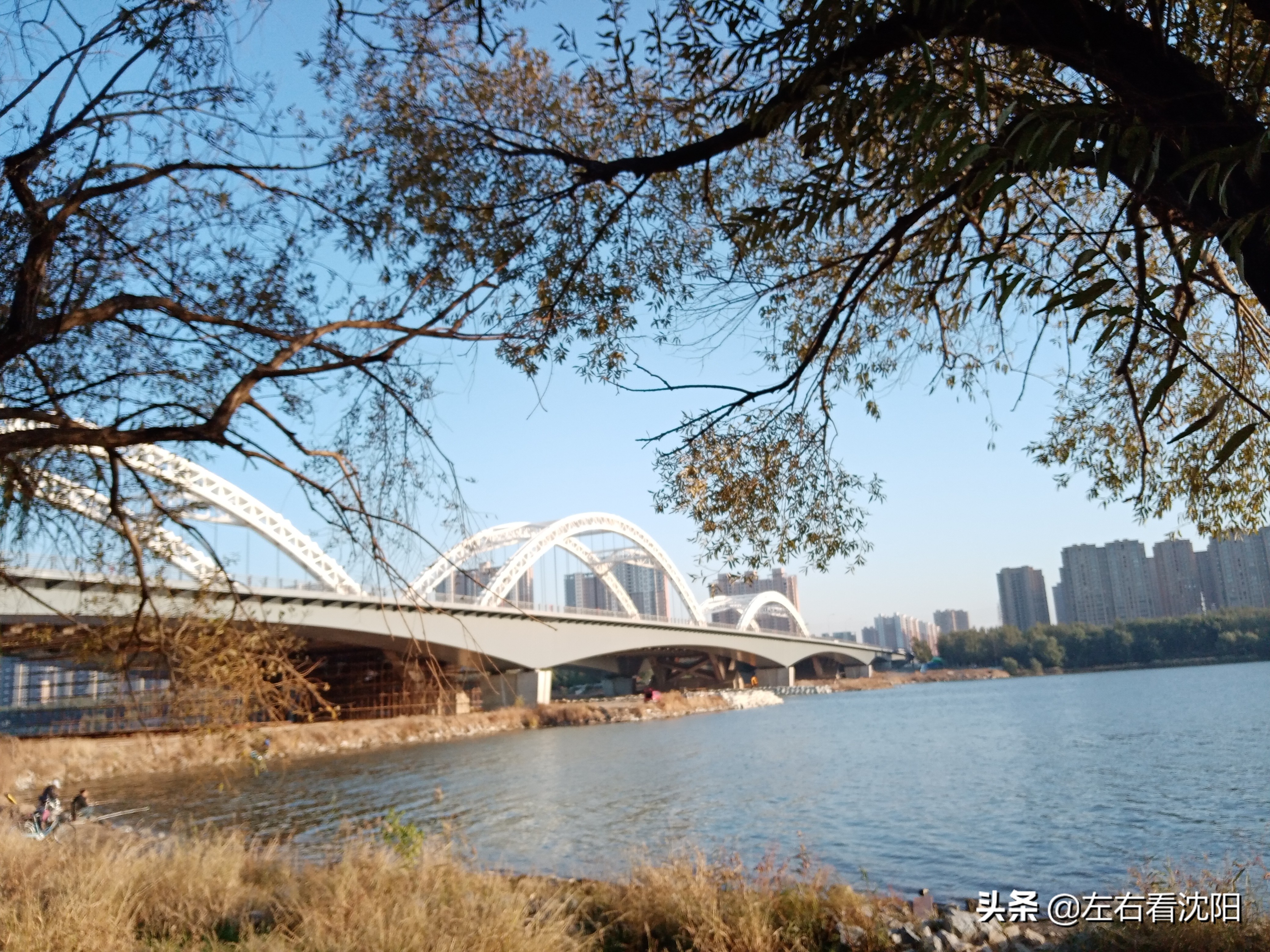 沈阳五里河公园攻略,沈阳五里河公园现在开吗