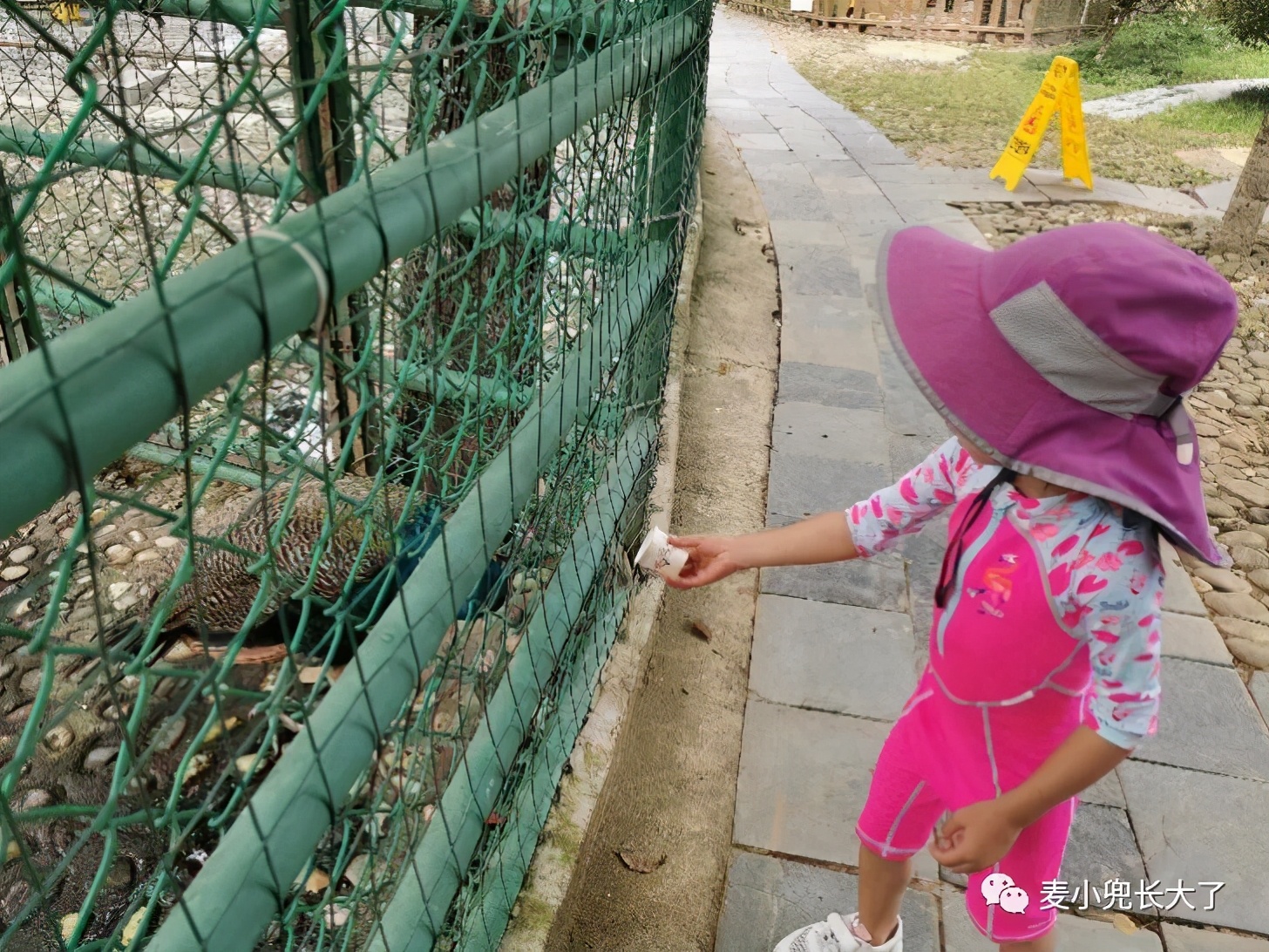 clubmed在中国的9家度假村,国内最好的clubmed亲子度假酒店