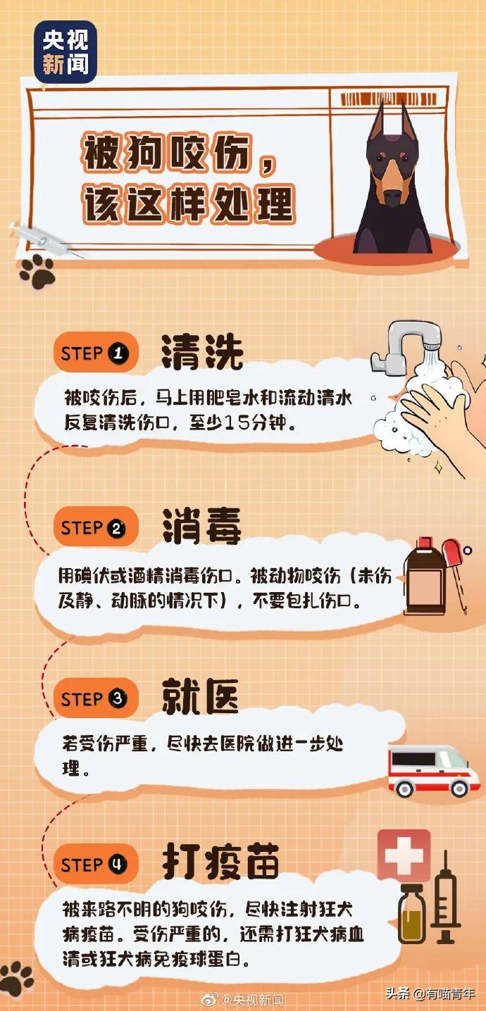 建国后有被猫抓伤得狂犬病的吗,不小心被猫抓伤了要打疫苗吗